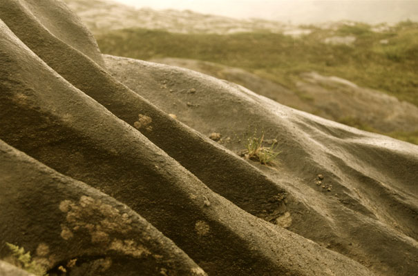 Karst features on the surface.