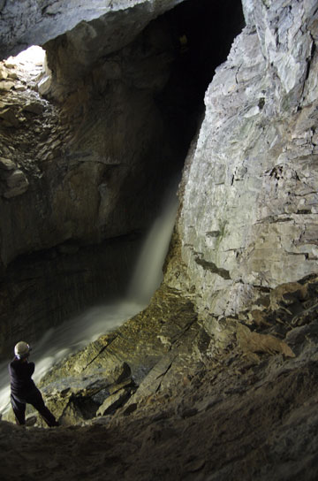 Rønnalihola