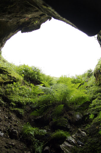 The classic entrance to Tjorve.