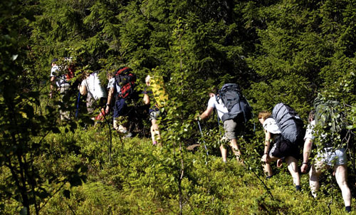 The caravan on its way to the Tjuvsprekka entrance.